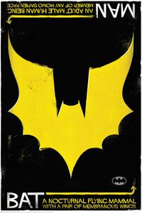 Stampa d'arte Batman - Nocturnal, (26.7 x 40 cm)