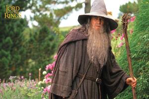 Stampa d'arte Lord of the Rings - Gandalf, (40 x 26.7 cm)