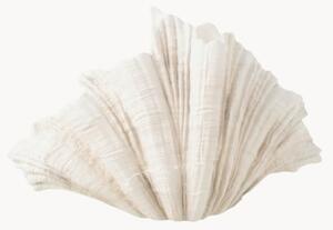 Vaso Clam, alt. 31 cm