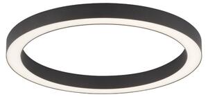 Plafoniera LED rotonda con telecomando PURE-LINES antracite-bianco 30W Tonalità di bianco 2800 lm metallo dimensioni: 4x50x50 cm IP20 Paul Neuhaus