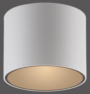 PAUL NEUHAUS PURE Point, plafoniera a LED, bianca, dimmerabile per interni, 2700 K
