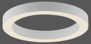 PAUL NEUHAUS Lampada da soffitto a LED PURE Lines, rotonda, bianca, dimmerabile, 2200–5000 K