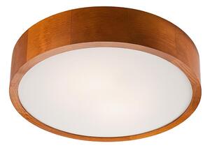 Plafoniera LED/24W/230V