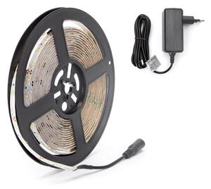 Striscia Led 12V 20W SMD 2835-60 5 metri IP65 Bianco freddo 6500K Aigostar