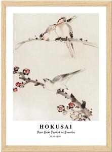 Poster in cornice 35x45 cm Hokusai - Wallity