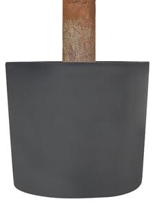 Pianta artificiale in vaso con vaso in plastica nero tronco di legno 120 cm decorazione per interni ed esterni Beliani