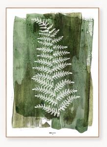 Stampa digitale incorniciata White Fern