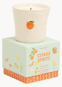 Candela profumata in ceramica Orange (Citrus Spritz)