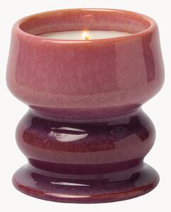 Candela profumata in ceramica Melt Ombre (fico selvatico & cedro)