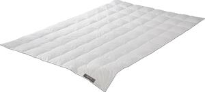 Badenia Trendline Piumino Princess Leggero Dimensioni 135x200 cm Piumino estivo