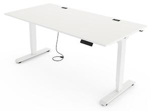 Yaasa Desk Essential Scrivania regolabile in altezza elettricamente 120 x 80 cm, bianco/bianco – 4 posizioni memorizzabili, indicatore di altezza, sensore antiurto e rete porta cavi
