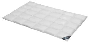 Spessarttraum Piumino-piuma per tutte le stagioni BLUE per esigenze termiche normali, dimensioni: 200 x 220 cm