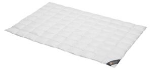 Spessarttraum Piumino Piumino Bronzo 155 x 220 cm Extra leggero