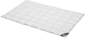 Spessarttraum Piumino per tutte le stagioni PLATIN per esigenze termiche ridotte, dimensioni: 200 x 220 cm