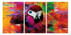 Quadro su tela Una giungla di colori