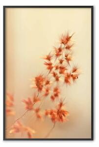 Poster: Erbe infuocate - pianta con fiori arancioni su sfondo gradiente
