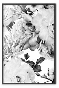 Poster: Fiori monocromatici - bianco e nero su sfondo bianco