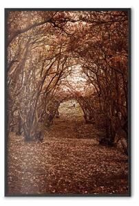 Poster: Sogni realizzati - foresta autunnale con foglie cadenti