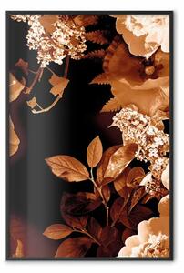 Poster: Notte di settembre - fiori autunnali su sfondo nero