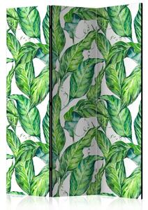 Paravento design Foglie lunghe - modello di piante tropicali su sfondo bianco
