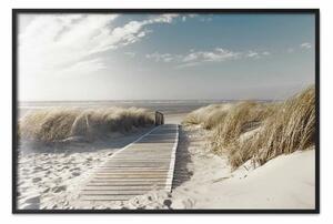 Poster: Spiaggia abbandonata - sentiero di legno sulla spiaggia