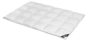 Spessarttraum Piumino Piumino Gold 135 x 200 cm Extra caldo