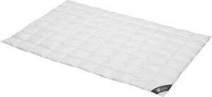 Spessarttraum Piumino Piumino Platino 135 x 200 cm Extra leggero
