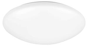 Plafoniera LED, metallo, plastica, bianco, D 26 cm