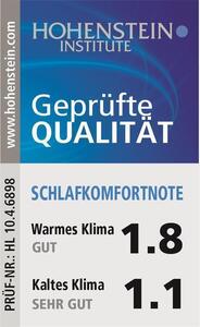 Häussling Piumino e piumino Königstraum 200 x 220 cm Letto a cassettoni 6x7 con bordino 2 cm Interno