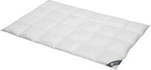 Spessarttraum Piumino Piumino Platino 155 x 220 cm Caldo