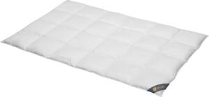 Spessarttraum Piumino Piumino in piuma d'oca Bronzo 200 x 220 cm Caldo