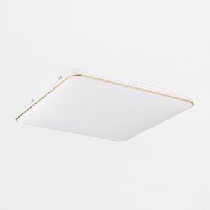 Zuma Line JE-DHS-0530-GD - Plafoniera LED dimmerabile OMAR LED/48W/230V oro