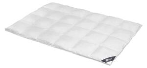 Spessarttraum Piumino Piumino d'oca Argento 200 x 220 cm Extra caldo