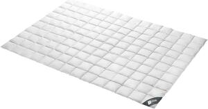 Piumino Spessarttraum Mein Engel extra leggero estate 100% piumino, dimensioni: 155 x 220 cm