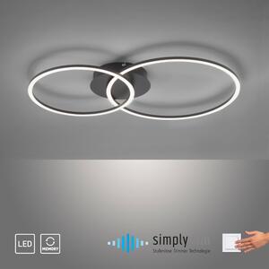 JUST LIGHT IVANKA Plafoniera LED bianco caldo 12W bianco/nero 14537-18