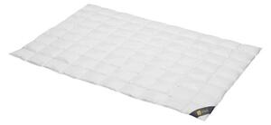 Spessarttraum Piumino Piumino d'oro 135 x 200 cm Extra leggero