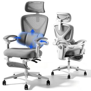 FLEXISPOT: sedia da ufficio ergonomica con poggiatesta 3D, supporto lombare regolabile, funzione reclinabile da 90 a 135°, braccioli collegati, poggiapiedi, portata massima 136 kg, colore grigio