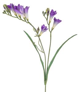 Set 8 Rami Artificiali Fresia Composta da 2 Fiori H 58 cm