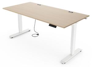 Yaasa Desk Essential Scrivania regolabile in altezza elettricamente 160 x 80 cm, rovere chiaro/bianco – 4 posizioni memorizzabili, indicatore di altezza, sensore anticollisione e passacavi