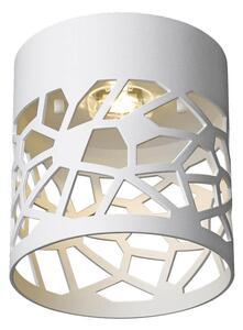 Klausen 140018 - Luce Spot a LED WINTERFELL LED/5W/230V bianco