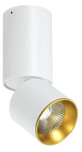 Luce Spot a LED da soffitto LED/10W/230V