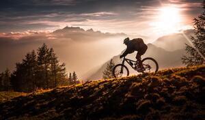 Fotografia artistica Golden hour biking, Sandi Bertoncelj, (40 x 22.5 cm)