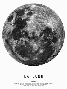 Illustrazione moon1, Finlay & Noa, (30 x 40 cm)