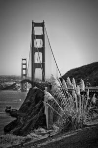 Fotografia artistica San Francisco Golden Gate Bridge, Melanie Viola, (26.7 x 40 cm)