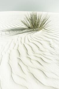 Fotografia artistica White Sands Vintage scenery, Melanie Viola, (26.7 x 40 cm)