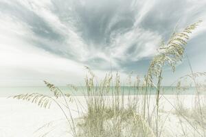 Fotografia artistica Heavenly calmness on the beach Vintage, Melanie Viola, (40 x 26.7 cm)