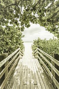 Fotografia artistica Bridge to the beach with mangroves Vintage, Melanie Viola, (26.7 x 40 cm)