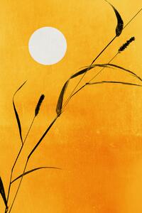 Illustrazione Sunny Days, Kubistika, (26.7 x 40 cm)