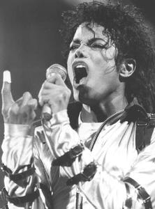 Fotografia artistica Michael Jackson The King of Pop', ., (30 x 40 cm)