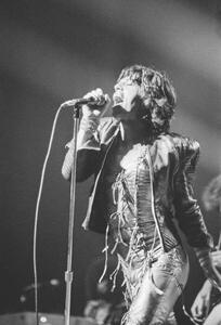 Fotografia Rolling Stones 1973, (26.7 x 40 cm)